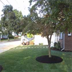 Front Yard Ideas